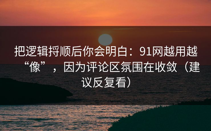 把逻辑捋顺后你会明白：91网越用越“像”，因为评论区氛围在收敛（建议反复看）