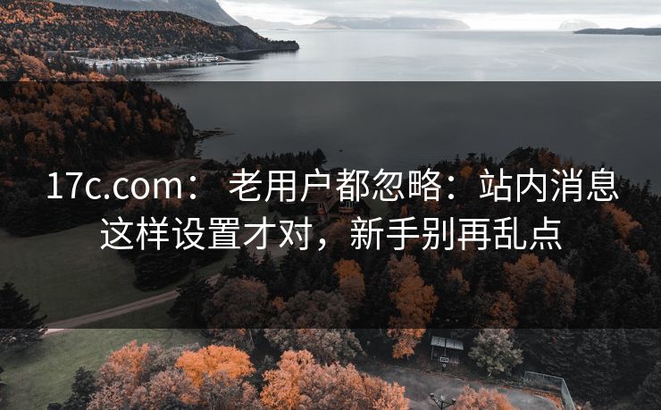 17c.com： 老用户都忽略：站内消息这样设置才对，新手别再乱点