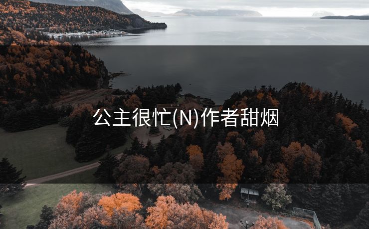 公主很忙(N)作者甜烟