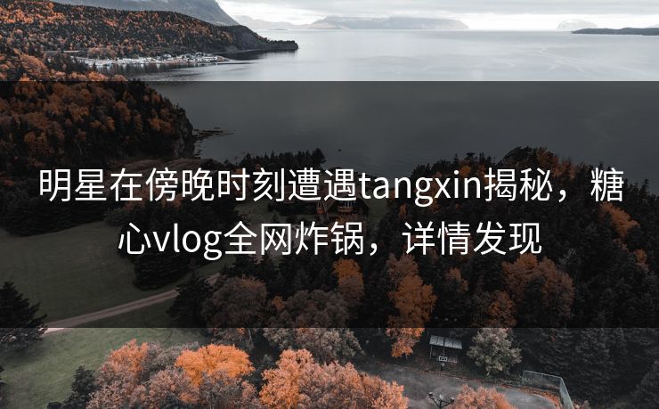明星在傍晚时刻遭遇tangxin揭秘,糖心vlog全网炸锅,详情发现