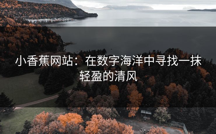 小香蕉网站：在数字海洋中寻找一抹轻盈的清风
