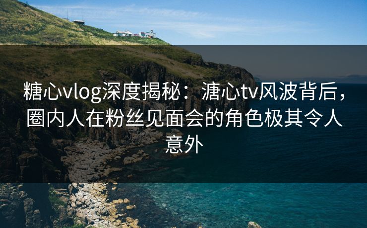 糖心vlog深度揭秘：溏心tv风波背后，圈内人在粉丝见面会的角色极其令人意外