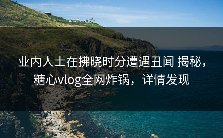 业内人士在拂晓时分遭遇丑闻 揭秘,糖心vlog全网炸锅,详情发现